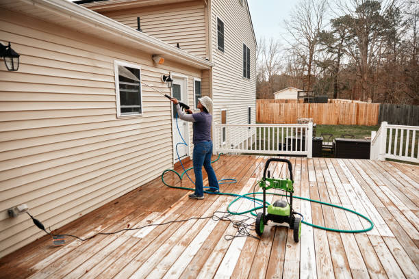 Best House Pressure Washing  in Linden, AL