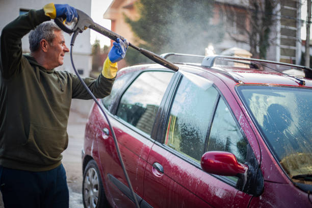 Best Roof Pressure Washing  in Linden, AL