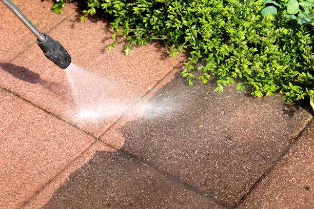 Reliable Linden, AL Pressure Washing Solutions